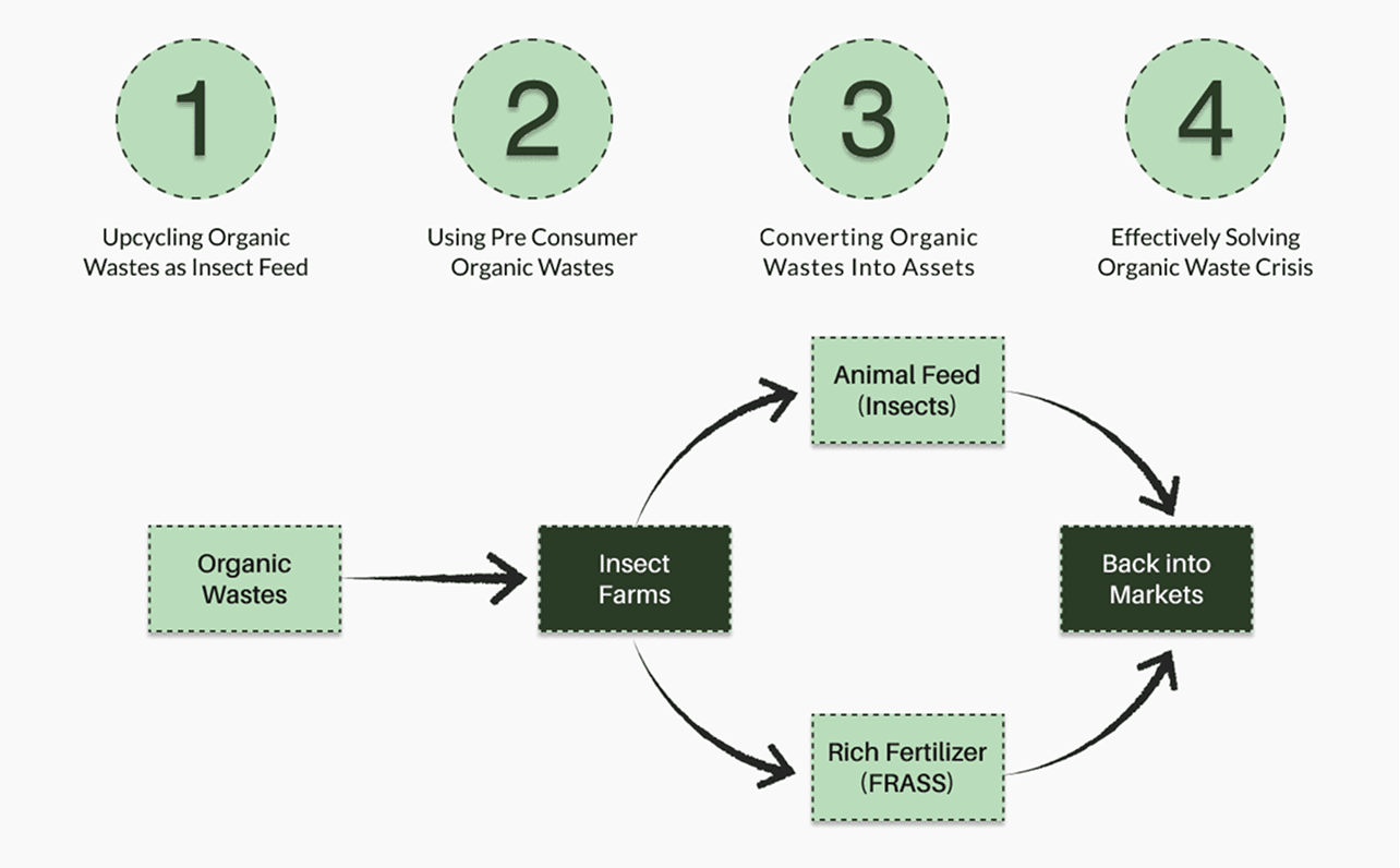 The Insect Farming - Organic Waste Hub