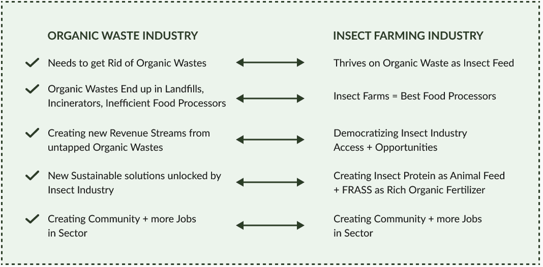 The Insect Farming - Organic Waste Hub